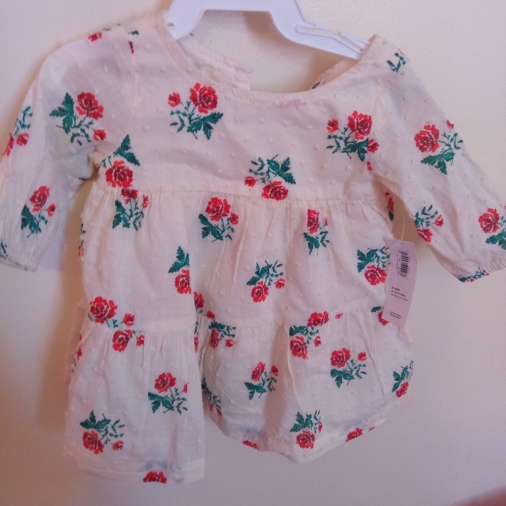 Newborn long sleeve dress